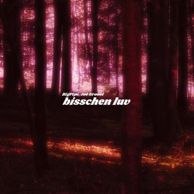bisschen luv (feat. Joe Groovi) - Single