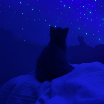 As If It Were Before - Single