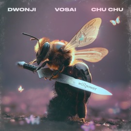 Willpower Dwonji, Vosai & Chu Chu