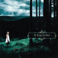 Album cover for Faithless by The Dream The Chase