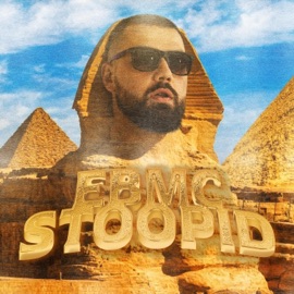 Stoopid EBMC