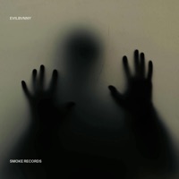 Wont't Be Fine - Single - EvilBvnny