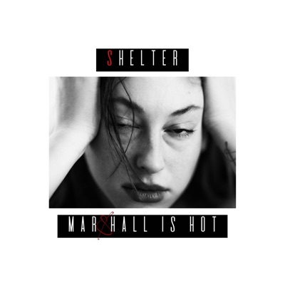 Shelter - Single