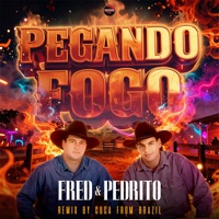 Pegando Fogo