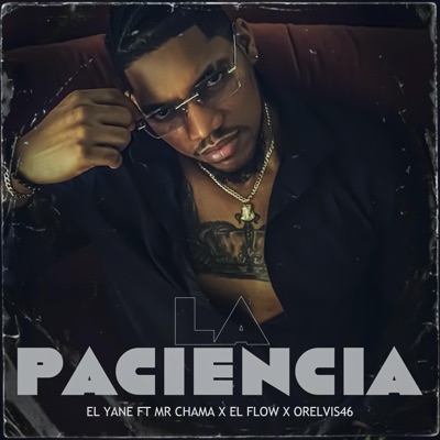La Paciencia (feat. Mr Chama, El Flow & Orelvis46) - Single