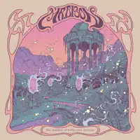 Cosmic Tide — Mr Bison