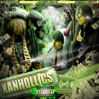XanHolics - Single - LevakBob, YAN, Jsemciganskrskr & SmeLLyMatY