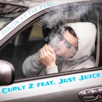 Chillin at the Park (feat. Just Juice) - Single - Curly Z