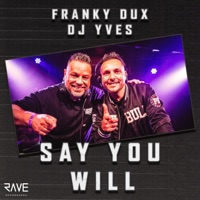Say You Will - Single - Franky Dux & DJ Yves