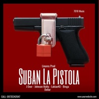 Suban La Pistola (feat. J Over, Lakiao40 & Bregadollar) - Single - Johnson Mafia