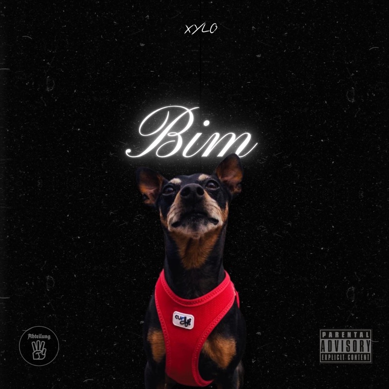 Bim - Single