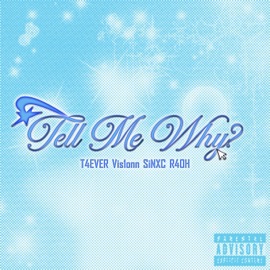 Tell Me Why? (feat. T4EVER, Vis1onn & r4oh) SiNXC
