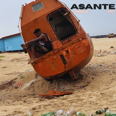 Asante (feat. Shevi) - Single