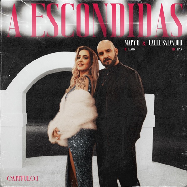 Capítulo 1: A Escondidas