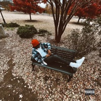 Therapy Sess.1 - Single - Yng Dee