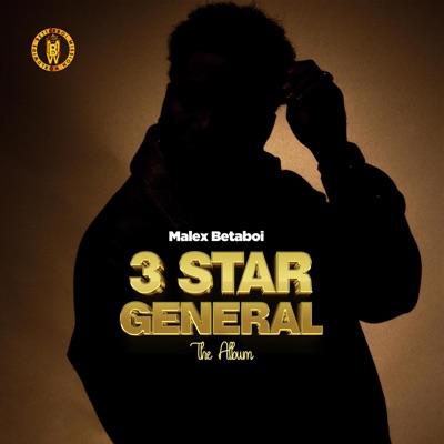 3 Star General