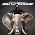 Junge auf dem Elefant