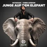 Junge auf dem Elefant — Octavian & Chris Avedon