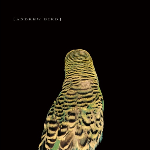 Andrew Bird - Armchair Apocrypha