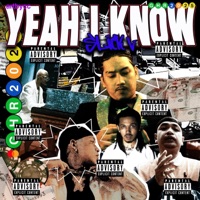 Yeah I Know (feat. Buensa, Godd Patron & R to the L) - Single - Slick V
