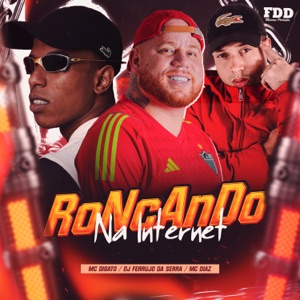 ROCANDO NA INTERNET
