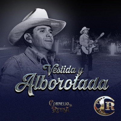Vestida Y Alborotada - Single