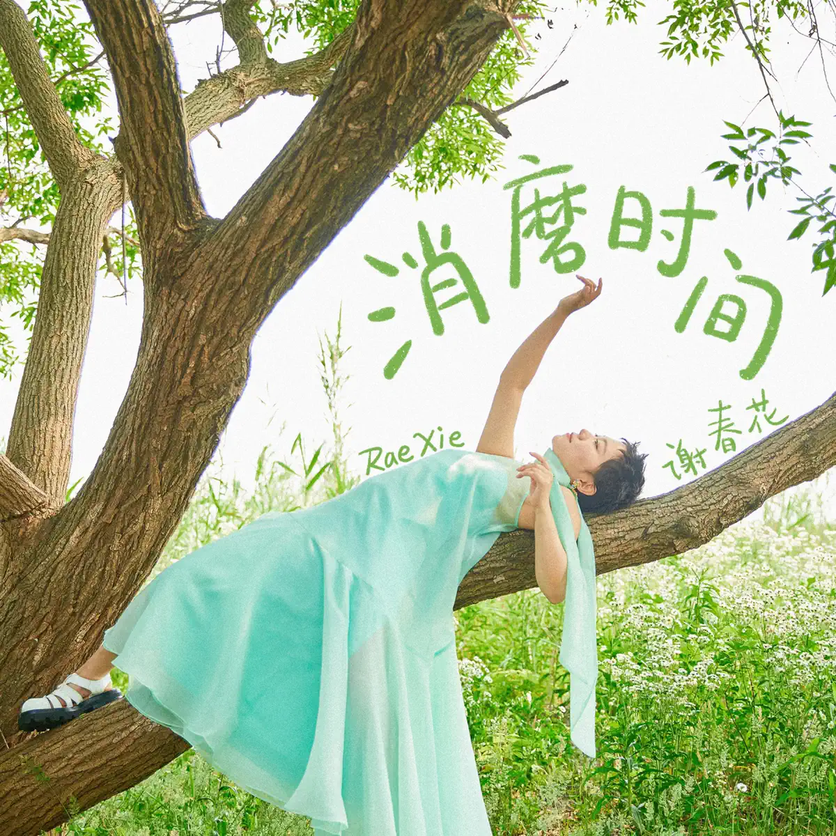 谢春花 - 消磨时间 (2024) [iTunes Plus AAC M4A]-新房子