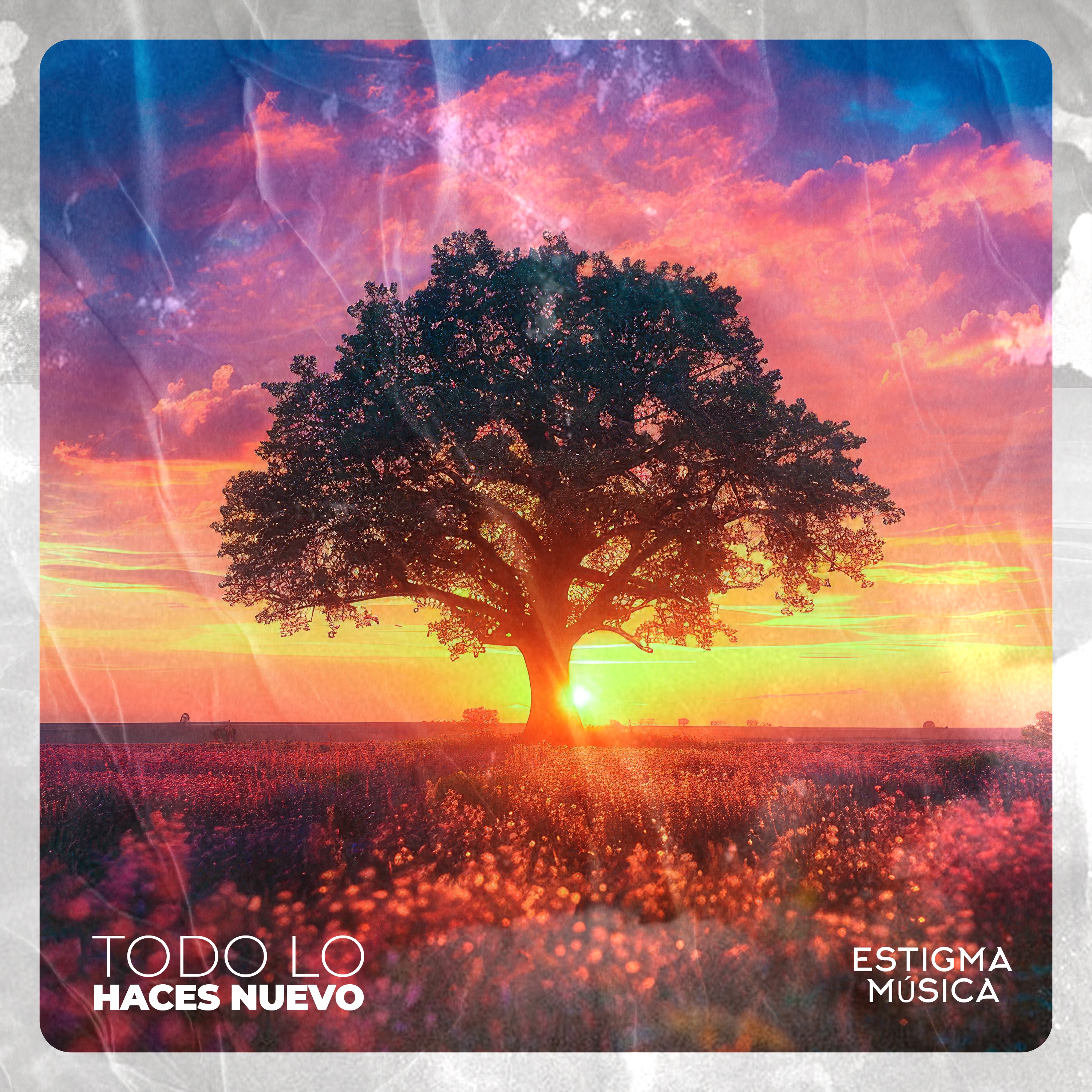Todo Lo Haces Nuevo - Single