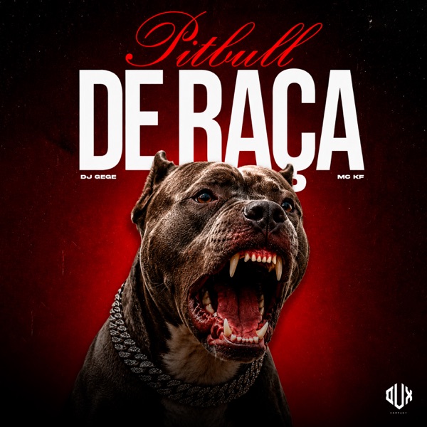 Pitbull de Raça