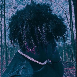 OñĘWį$ħ PSV Hundo