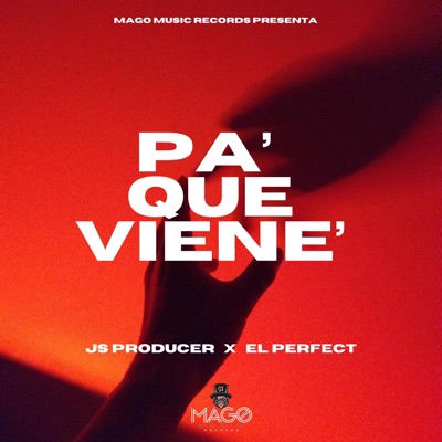 Pa que viene (feat. el perfect & mago music records) - Single