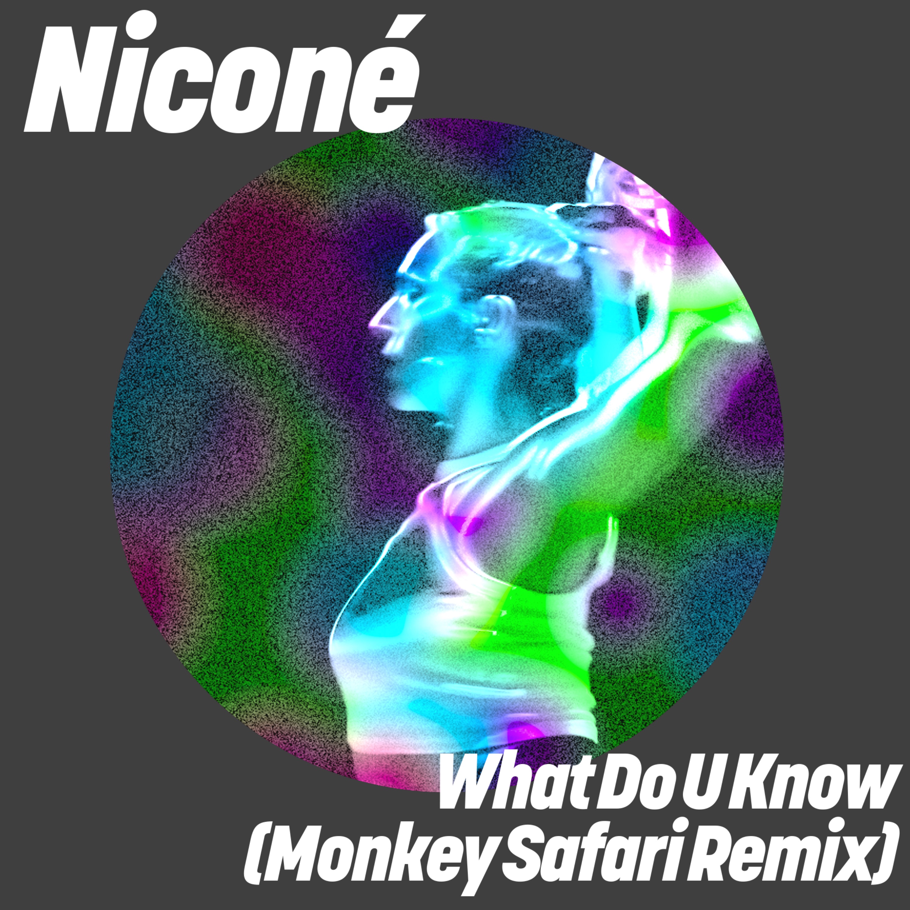 What Do U Know (Monkey Safari Remix) - Single