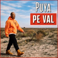 Pe Val - Single - Puya