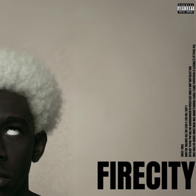 FIRECITY