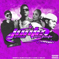 Junte perfecto (feat. Luxiel & Solan) [Remix] - Single - eldelacalle6