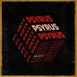 Puzzle (feat. Onyx) PSYRUS