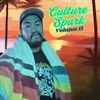 Culture Spark Volume 11