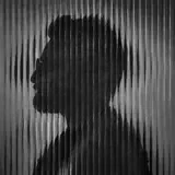 Arman Garshasbi - Hezar Omid