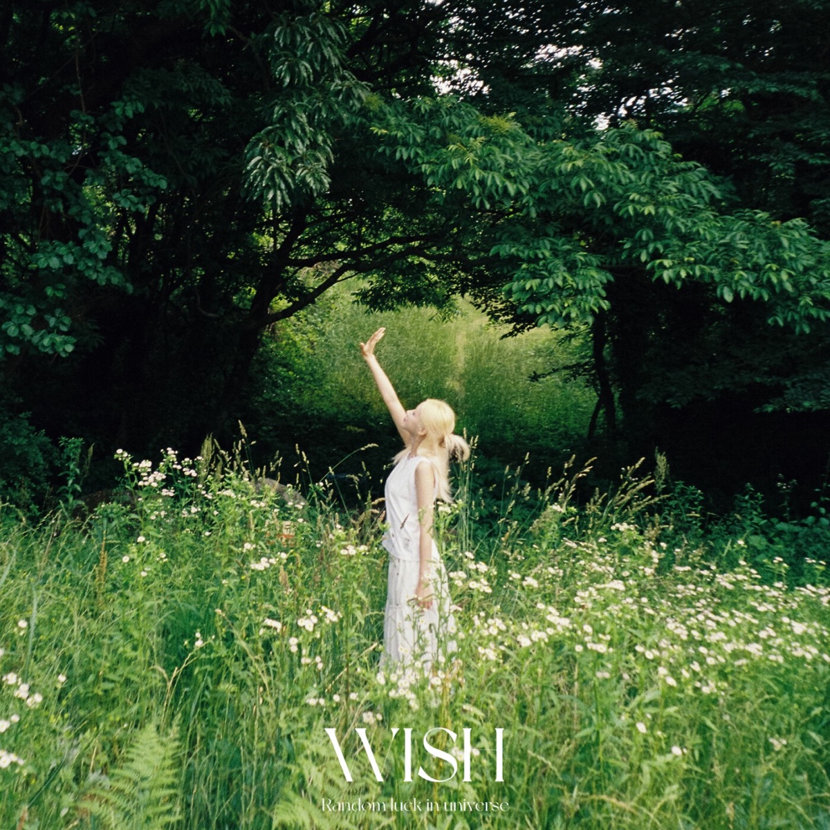 WISH - WISH LIST - EP (2025) [iTunes Plus AAC M4A]-新房子