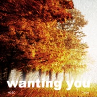 Wanting You (feat. Cxrter) - Single - H3SO