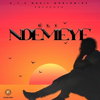 Ndemeye - Single