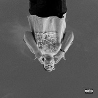 Testing - Single - Wxlf