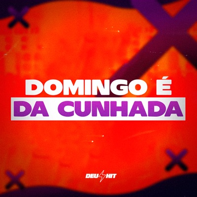 Domingo É da Cunhada (feat. mc pl alves & Mc Bryan SS) - Single