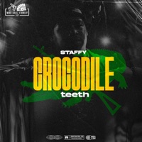 Crocodile Teeth - Single - Staffy