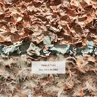 Crashing Through — Cable Ties