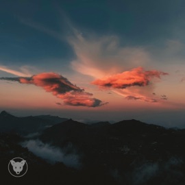 chasing dreams shadow.