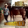 El Corrido De Don Armando (En vivo) - Single