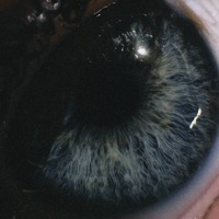 Dont Lie - Single - FORTXNA