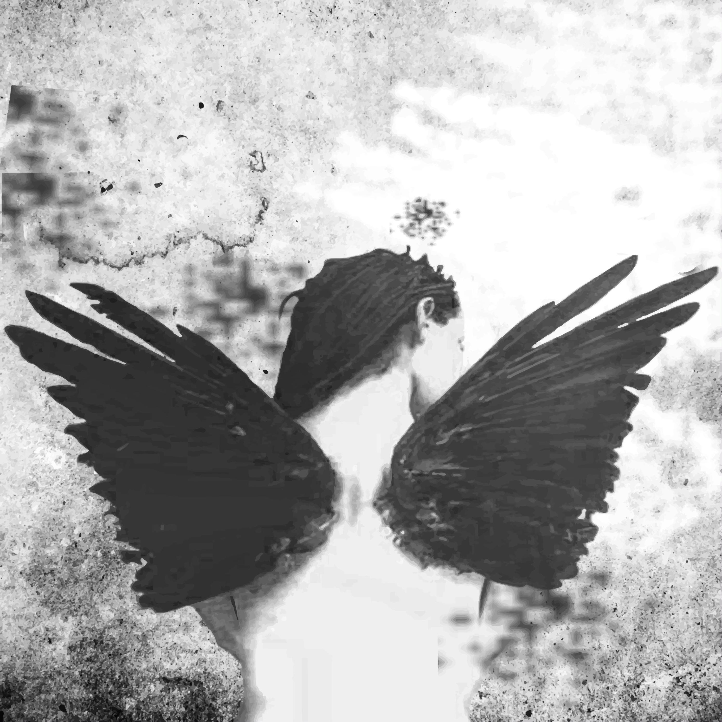 Black Wings On An Angel