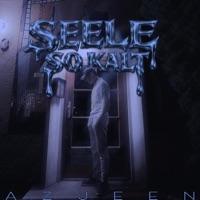 Seele so kalt - Single - Azjeen